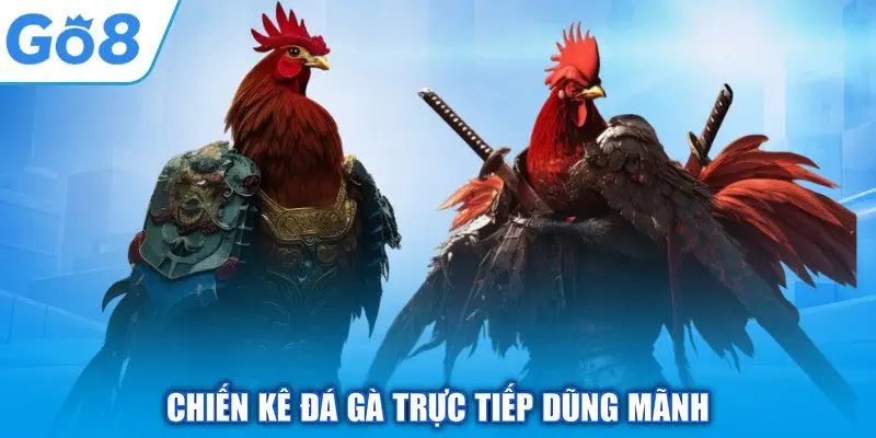 Chiến kê đá gà trực tiếp dũng mãnh